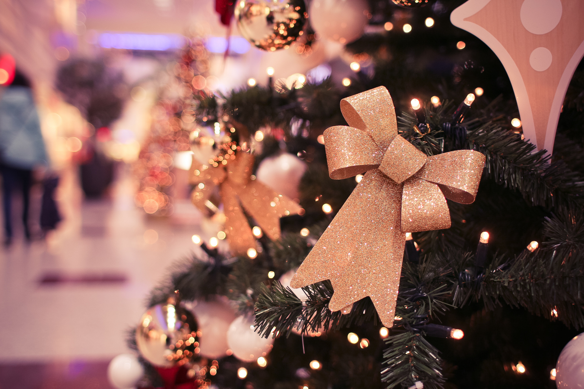 Holiday Happenings Close to Home