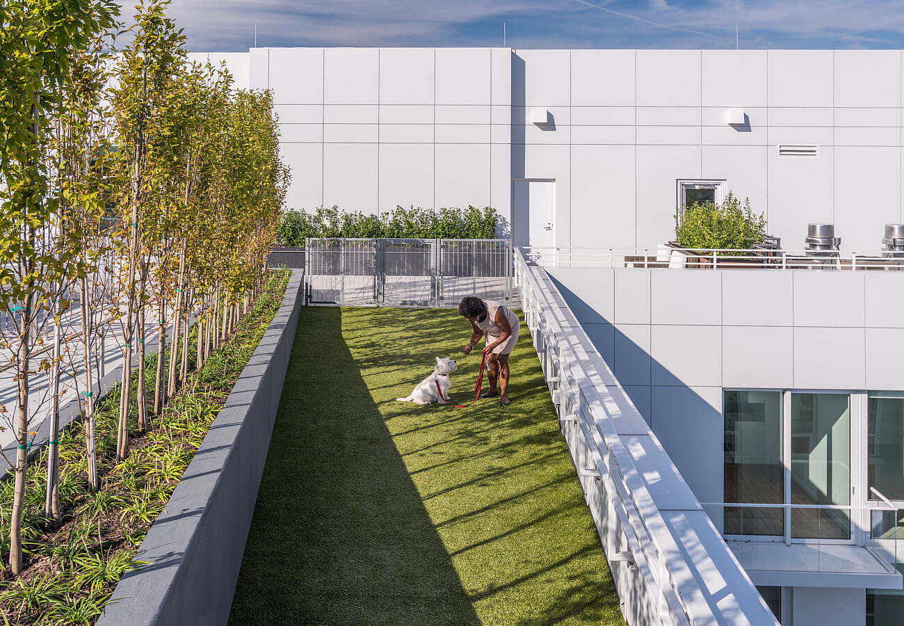 Rooftop dog park at Fifty Three Thirty Three Apartments with resident and dog on turf play area.